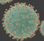 Coronavirus Covid19