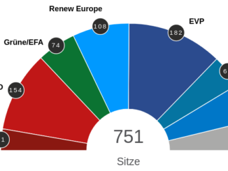 Europawahl 2024.,AfD und China-Politik