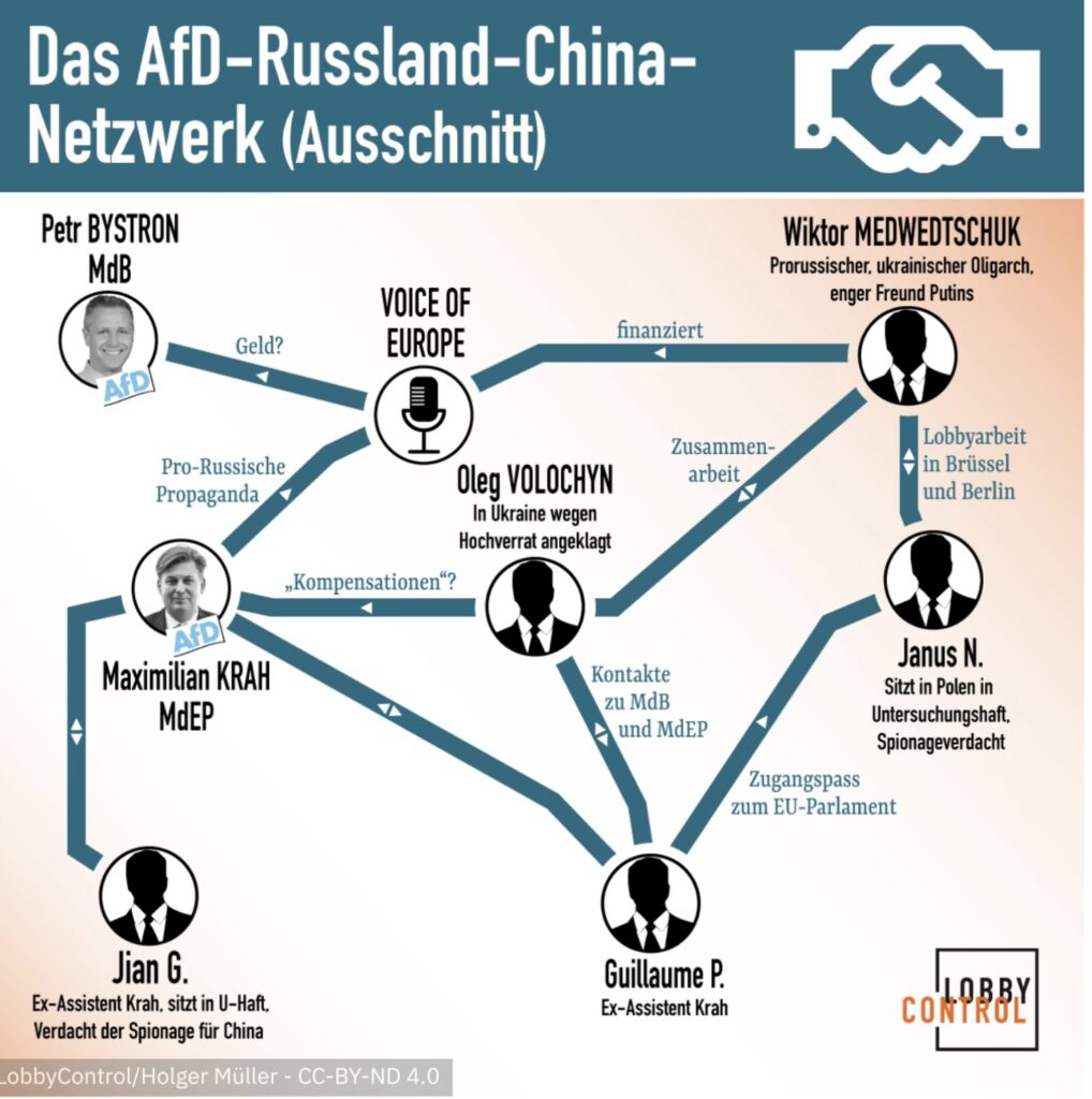 China Politik AfD Bundestagswahl 2025